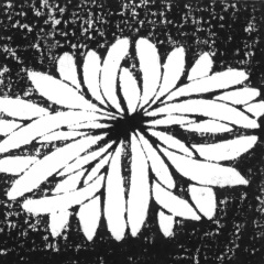 乱菊の紋。細い花びらが広がる菊の絵
